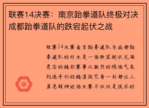 联赛14决赛：南京跆拳道队终极对决成都跆拳道队的跌宕起伏之战